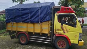 Jasa Pindahan Rumah Tabebuya BSD City 2024